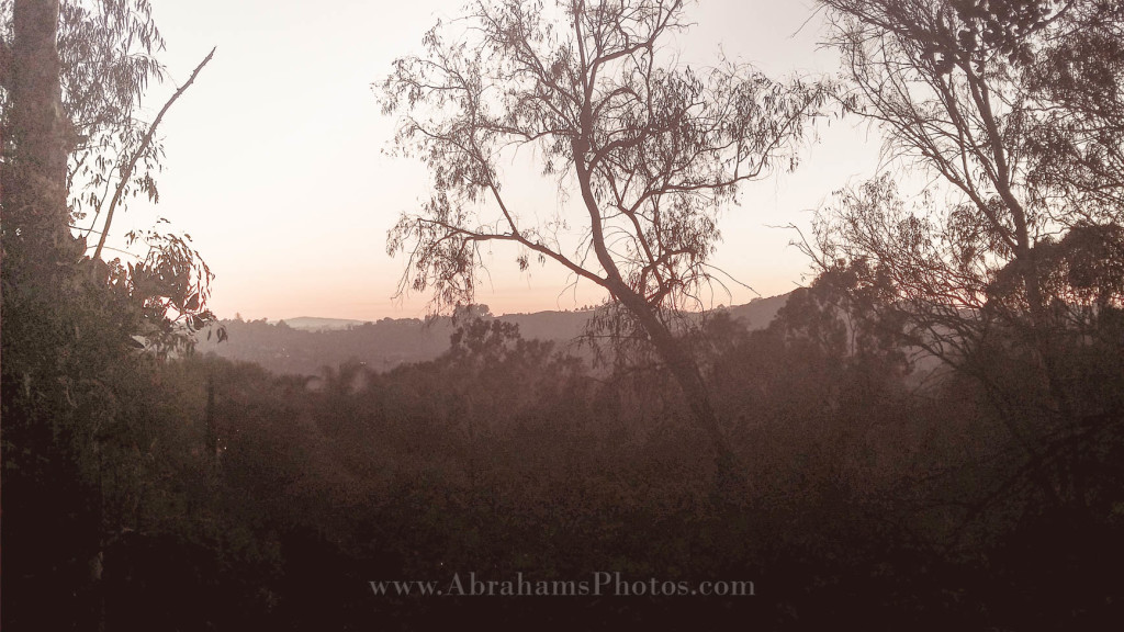 Sunrise over Beverly Hills